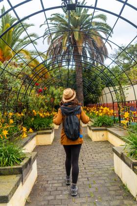 a Woman Walking Through a Beautiful Botanical garden, a Sustainable Tourism Concept in Arucas, Gran Canaria Spain Copyright: imageBROKER UnaixHuizi ibxuhu10454531.jpg ,model released, Symbolfoto ,property released