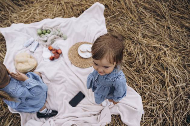 Sisters in denim dresses on picnic blanket model released, Symbolfoto, KANF00042