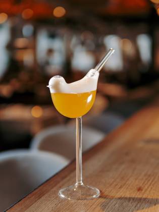 Yellow alcohol Tommy s Margarita cocktail Tommy s Margarita Cocktail in bird high stem cocktail glass. Yellow alcohol Tommy s Margarita cocktail on beautiful bar counter background with bokeh. Aesthetic yellow cocktail in bar interior Copyright: xZoonar.com OlgaxSergeevax 21366794