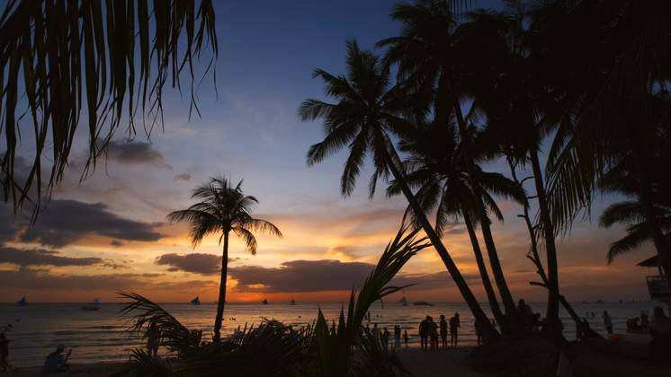 Sunset on beach with people and palms Silhouetted people and palms near sea. Sunset at tropical White beach, Boracay island, Philippines Copyright: xZoonar.com MikhailxKokhanchikovx 21448163