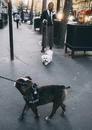 Travelpictures Paris Paris, 02 04 2024 Travelpictures, two dogs sniff each other on the street