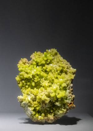 Travelpictures Paris Paris, 06 04 2024 Travelpictures, Gallery of Mineralogy and Geology with stones, minerals and crystals