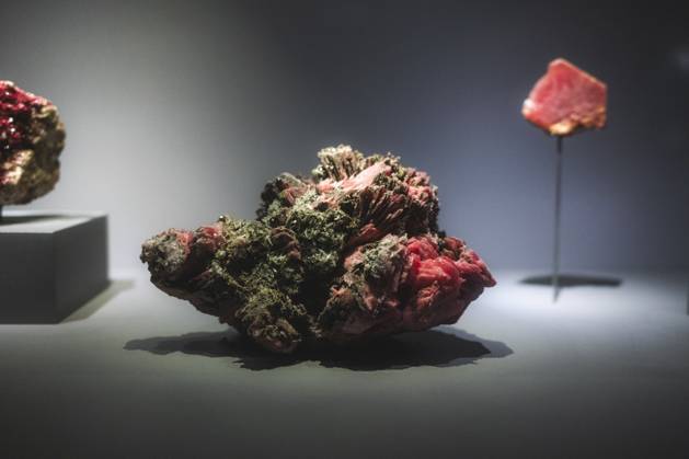 Travelpictures Paris Paris, 06 04 2024 Travelpictures, Gallery of Mineralogy and Geology with stones, minerals and crystals