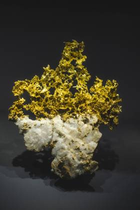Travelpictures Paris Paris, 06 04 2024 Travelpictures, Gallery of Mineralogy and Geology with stones, minerals and crystals
