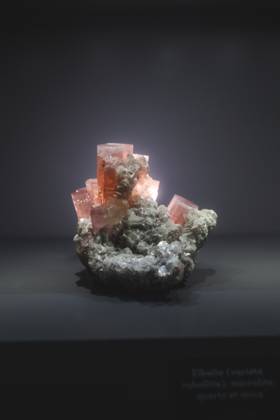 Travelpictures Paris Paris, 06 04 2024 Travelpictures, Gallery of Mineralogy and Geology with stones, minerals and crystals