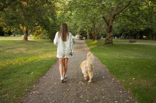 IMAGO Creative: Sommer, Sommertage im Stadtpark Girl taking her dog on a walk through the park Seattle, Washington, United States R_JANERG211123-868895-01 ,model released, Symbolfoto ,property released