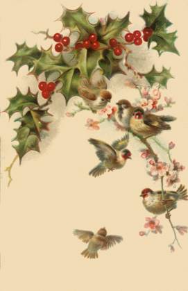 RECORD DATE NOT STATED Birds Flock to Holly Birds Flock to Holly Date: 1910  Copyright: Copyrightx(c)Geminix2023.xCredit:xGemini 12932774
