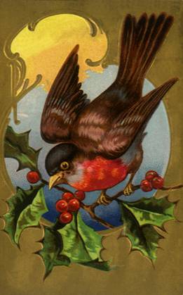 RECORD DATE NOT STATED Bird on Holly Bird on Holly Date: 1910  Copyright: Copyrightx(c)Geminix2023.xCredit:xGemini 12933225