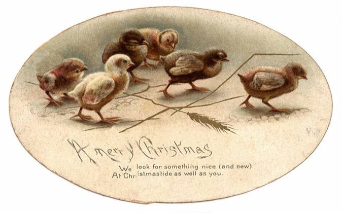 RECORD DATE NOT STATED Christmas Chicks Christmas Chicks Date: 1910  Copyright: Copyrightx(c)Geminix2023.xCredit:xGemini 12951931