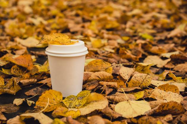 Eco zero waste white paper cup copy space mockup. Fall leaves and cup of tea coffee to go next to autumn nature. Unite with nature Eco zero waste white paper cup copy space mockup. Fall leaves and cup of tea coffee to go next to autumn nature. Unite with nature cottagecore Copyright: x RECORD DATE NOT STATED