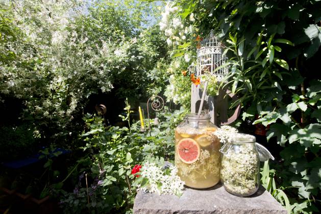 IMAGO Creative: Sommer, Sommertage im Garten Jars of lemonade on pedestal standing in garden property released, HHF05978