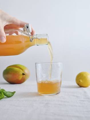Female hand pouring organic homemade fermented kombucha from a bottle into a glass Female hand pouring organic homemade fermented kombucha lemonade from a bottle into a glass Copyright: xAsyaxNurullinax AN260424-15