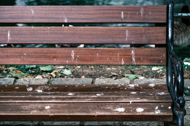 Düsseldorf 05 06 2024 pigeon droppings bird droppings bird poop pigeon poop park bench bench Königsallee Kögraben greylag goose greylag geese Düsseldorf North Rhine-Westphalia Germany