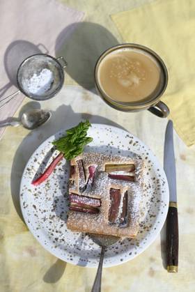 Rhubarb pie and cup of coffee, Hamburg Hamburg Deutschland Altes Land GISF01099