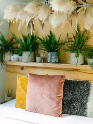 Love plants? Stay in London™s first live-in terrarium boat this summer Story from Jam Press (Terrarium Boat) Pictured: The bedroom. Love plants? Stay in London™s first live-in terrarium boat this summer Are you a plant lover? A water babe? Well, now you can take both to the next level with a stay on a ˜terrarium boat . Moored on a canal in Hackney, London, this life-size ecosystem is made for those who want to get close to nature. The 48.3 sq m boat is decked out with 150 verdant houseplants - making it a perfect live-in oasis. Terrariums are more commonly known to be small, sometimes big, glass enclosures filled with plants, stones and mosses. But this one is a floating, green sanctuary. The two-guest property is comple Copyright: xJamxPress @thefloatingterrarium