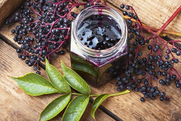 IMAGO Creative, Jahreszeit Sommer, Food, Marmelade kochen Elderberry jam and fresh berries.Homemade jam.Seasonal berries. Elderberry jam in a jar ,model released, Symbolfoto