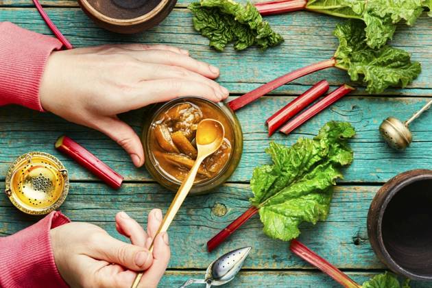 IMAGO Creative, Jahreszeit Sommer, Food, Marmelade kochen Homemade rhubarb jam in glass jar. Rhubarb jam with fresh rhubarb,top view ,model released, Symbolfoto