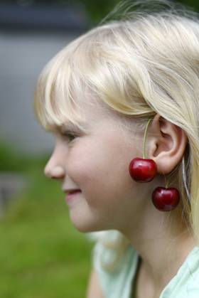 IMAGO Creative, Jahreszeit Sommer, Kirschen Smiling blond girl with cheeries hanging on ear model released, Symbolfoto, Hamburg Hamburg Deutschland Altes Land GISF01103