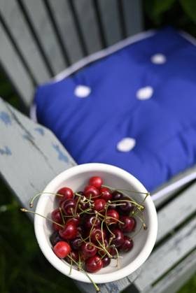IMAGO Creative, Jahreszeit Sommer, Kirschen Bowl of cherries kept on chair, Hamburg Hamburg Deutschland Altes Land GISF01107
