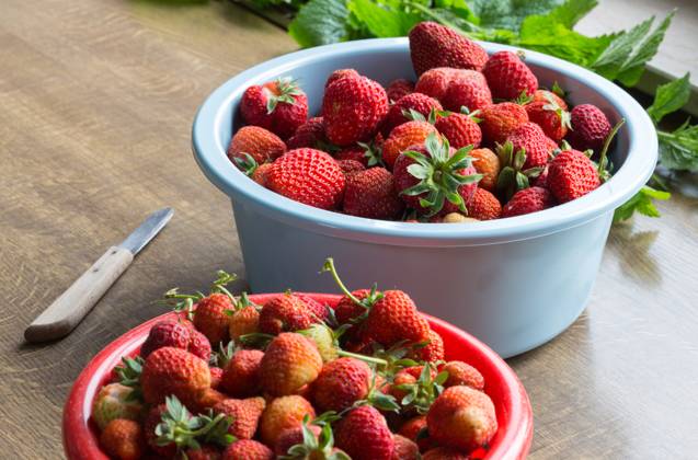 IMAGO Creative, Jahreszeit Sommer, Food, Marmelade kochen Strawberry jam cooking preparation of strawberries.. Strawberry jam cooking preparation of strawberries ,model released, Symbolfoto