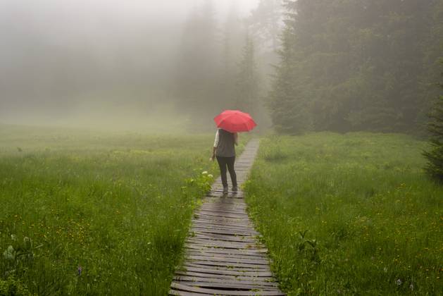 Woman 60 with Umbrella at Chicken moss to a wolkenverhangenem Day with Fog, a raised bog on Söllereck at Oberstdorf, Allgäuer Alps, Allgäu, Bavaria, Germany, Europe 1031609018 ,model released, Symbolfoto
