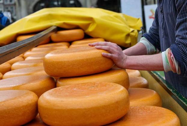  Whole round cheeses for sale at the cheese market in Gouda, the Netherlands, Whole round cheeses for sale at the cheese market in Gouda, the Netherlands, Whole round cheeses for sale at the cheese market in Gouda, the Netherlands, 22.11.2023, Copyright: xwjarekx Panthermedia36208417.jpg