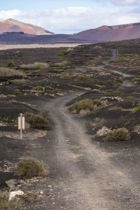  Typical landscape of Lanzarote. Canary Islands. Spain., Typical landscape of Lanzarote. Canary Islands. Spain., Typical landscape of Lanzarote. Canary Islands. Spain., 25.12.2023, Copyright: xBuschmenx Panthermedia36351308.jpg