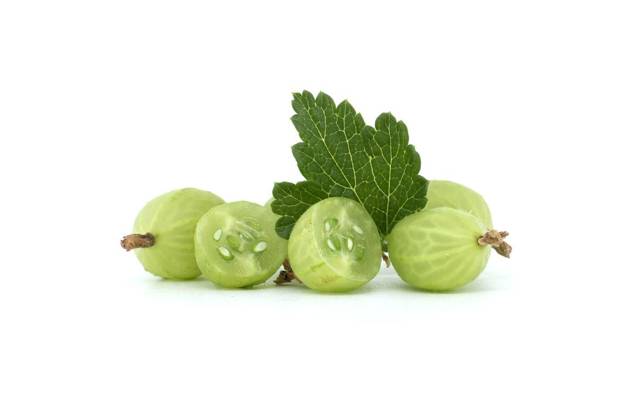  Fresh green gooseberries with leaf on a white background, whole and sliced, Fresh green gooseberries with a green leaf on a white background. Includes whole and sliced berries, showcasing seeds and texture., Fresh green gooseberries with a green leaf on a white background. Includes whole and sliced berries, showcasing seeds and texture., 28.05.2024, Copyright: xNetPixx Panthermedia37328068.jpg