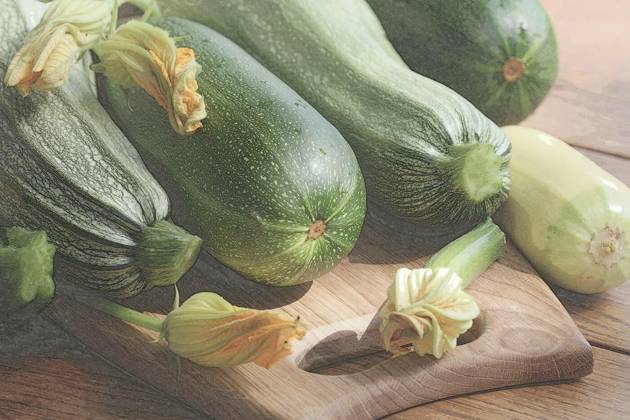  Fresh organic zucchini on the wooden table, Fresh organic zucchini on the wooden table ., Fresh organic zucchini on the wooden table ., 30.05.2024, Copyright: xVaivirgax Panthermedia37347037.jpg