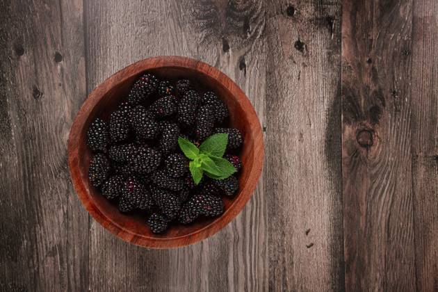 Brombeeren, in einer Holzschale, Draufsicht, ohne Menschen Blackberries, in a wooden bowl, top view, no people Copyright: imageBROKER GalinaxDidebashvili ibxgai11082147.jpg