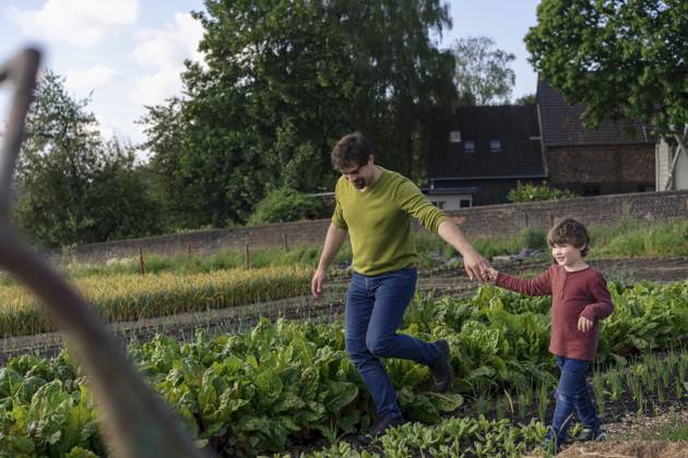 Father holding son s hand and walking amidst plants in farm model released, Symbolfoto property released, JOSEF25985