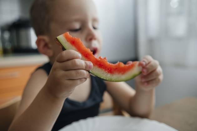 Boy holding slice of watermelon model released, Symbolfoto property released, KVBF00309