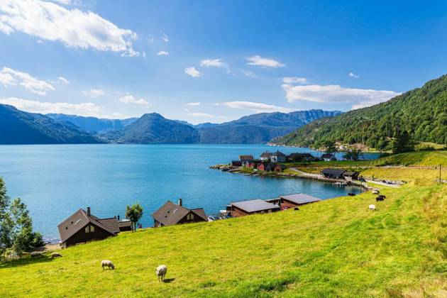  View over the Åkrafjord with sheeps in Norway, View over the Åkrafjord with sheeps in Norway., View over the Åkrafjord with sheeps in Norway., 13.07.2024, Copyright: xRicoKx Panthermedia37573960.jpg
