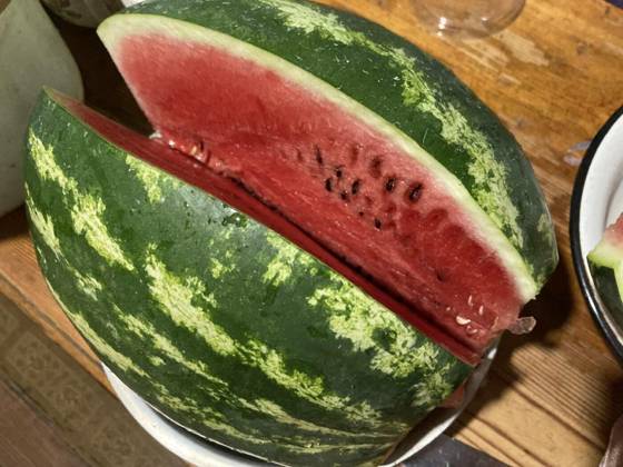  Ripe summer watermelon cut into slices, Ripe summer watermelon cut the into slices, Ripe summer watermelon cut the into slices, 22.07.2024, Copyright: xarchitectphdx Panthermedia37607339.jpg
