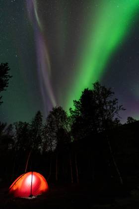 Northern Lights Aurora Borealis mirrors itself in a See, Rago National Park, Nordland, Norway, Bivouac, Tent, Lighting, McPGUN McP Gun 2025 000172 McPGUN