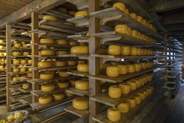  Gouda Cheese Store - Town of Gouda - Netherlands, Gouda cheese store in the market town of Gouda in the Netherlands. Gouda is a flat round cheese with a yellow rind, originally made in Gouda although now the name is used today as a general term for a variety of similar cheeses produced in the traditional Dutch manner, as well as the Dutch original., Gouda cheese store in the market town of Gouda in the Netherlands. Gouda is a flat round cheese with a yellow rind, originally made in Gouda although now the name is used today as a general term for a variety of similar cheeses produced in the traditional Dutch manner, as well as the Dutch original., 07.08.2024, Copyright: xSteve-Allenx Panthermedia37669711.jpg