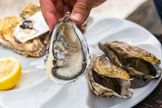  Male hand holding oysters, Male hand holding oysters on a plastic plate near the sea, Male hand holding oysters on a plastic plate near the sea, 20.08.2024, Copyright: xTopdeqx Panthermedia37731410.jpg
