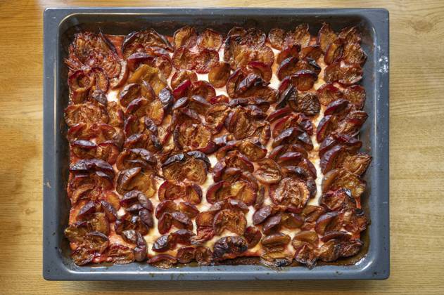IMAGO Creative, Herbst, Food, Pflaumenkuchen Frischer Zwetschgenkuchen auf einem Backblech, Bayern, Deutschland, Europa Fresh plum cake on a baking tray, Bavaria, Germany, Europe Copyright: imageBROKER HelmutxMeyerxzurxCap ibxmzc11270674.jpg