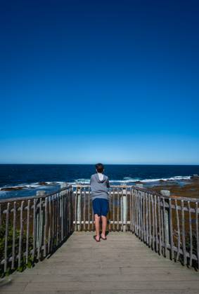IMAGO Creative, Jahreszeit Sommer, Sommerferien Boy looking over weathered fence at ocean in Newfoundland. Rocky Harbour, Newfoundland and Labrador, Canada CR_DOHO240913I-1530865-01 ,model released, Symbolfoto