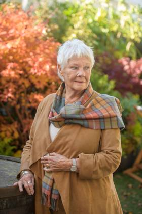 Judi Dench 4th October 2024. Dame Judi Dench at the Times and Sunday Times Cheltenham Literature Festival. Copyright: xAdrianxSherrattx NINTCHDBPICT000938484724