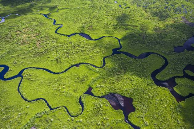 Aerial view of Everglades National Park in Florida, USA , 01.09.2019, TTBB_ti01109495.jpg, Color Image,Horizontal,Aerial View,High Angle View,Outdoors,Day,Everglades National Park,National Park,Travel,Travel Destinations,Florida - USA,UNESCO,UNESCO World Heritage Site,North America,No People,Landscape,Scenics,Nature,Wetland,Tropical Climate,Grass,River,Water,Green,USA Copyright: xTGIx