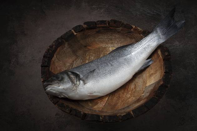 Frischer, roher Wolfsbarsch, in einer Holzplatte, Ansicht von oben, ohne Personen Fresh, raw sea bass fish, in a wooden plate, top view, no people Copyright: imageBROKER GalinaxDidebashvili ibxgai11711296