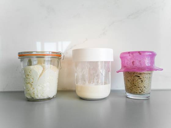 Three jars with different types of sourdough bread on table in kitchen Vilnius, Vilnius County, Lithuania R_EDSAHG210708-791070-01