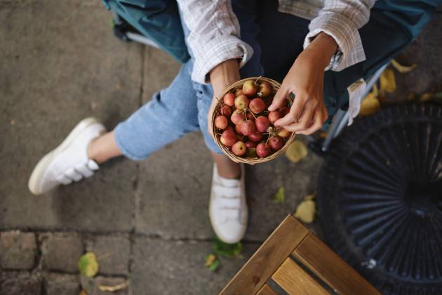 IMAGO Creative, Jahreszeit Sommer, Kirschen Gardener sitting with bowl of cherries model released, Symbolfoto property released, ASGF05763