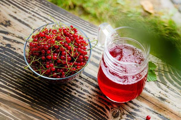  Fresh red currant in bowl and red currant beverage on wooden table. Fruits from home garden. Summer refreshments. Soft drink. Red currant compote. Healthy food. Homemade healthy drink. Seasonal fruits, Fresh red currant in bowl and red currant beverage on wooden table. Fruits from home garden. Summer refreshments. Soft drink. Red currant compote. Healthy food. Homemade healthy drink. Seasonal fruits, Fresh red currant in bowl and red currant beverage on wooden table. Fruits from home garden. Summer refreshments. Soft drink. Red currant compote. Healthy food. Homemade healthy drink. Seasonal fruits, 20.11.2024, Copyright: xprzemekklosx Panthermedia38324214.jpg