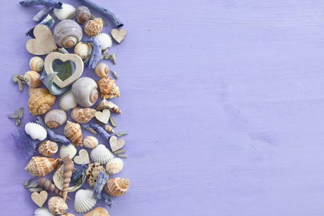 Hintergrund mit Muscheln  Copyright: xZoonar.com BarbaraxNeveux 4695740