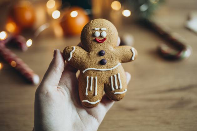 IMAGO Creative, Weihnachten, Food, Backen, Lebkuchen A hand holds a charming gingerbread man cookie decorated with icing Soft lighting and blurred holiday decor create a warm, festive ambiance Ideal for holiday themes Model Released HannaYakimenko_ID25894_748059_019 Copyright: xHannaxYakimenkox