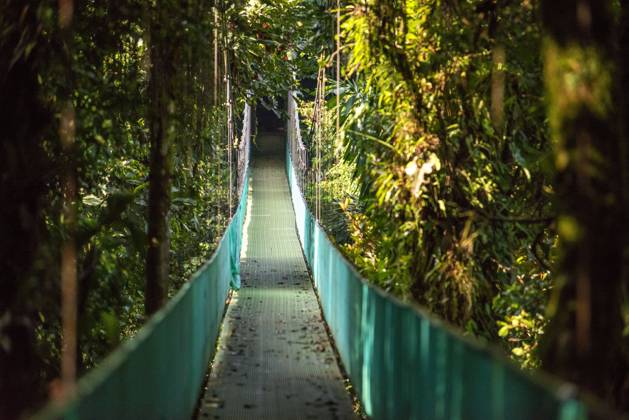 Hanging bridge at natural rainforest park suspended bridge at natural rainforest park, Costa Rica Costa Rica Copyright: xSergixReboredox xVWPicsx SRE-EA0422