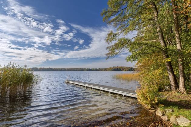 Holzsteg am Schaalsee im Herbst, Herbst, Biosphärenreservat Schaalsee, Schleswig Holstein, Deutschland, Europa Wooden jetty at lake Schaalsee in autumn, fall, Biosphärenreservat Schaalsee, Schleswig-Holstein, Germany, Europe Copyright: imageBROKER alimdix xArterrax xS ibltsm12350871