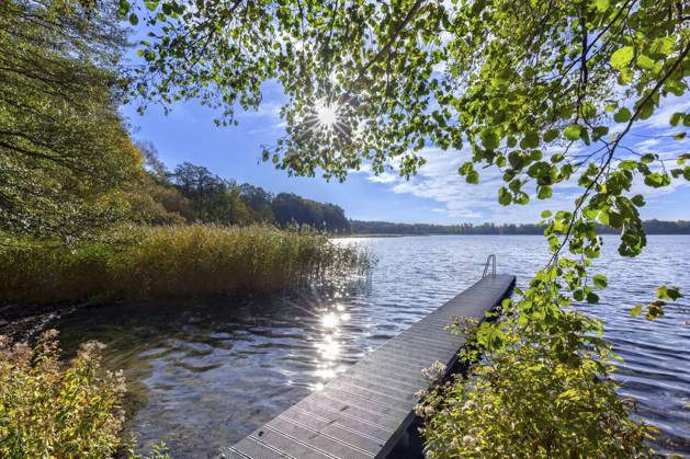Holzsteg am Schaalsee im Herbst, Herbst, Biosphärenreservat Schaalsee, Schleswig Holstein, Deutschland, Europa Wooden jetty at lake Schaalsee in autumn, fall, Biosphärenreservat Schaalsee, Schleswig-Holstein, Germany, Europe Copyright: imageBROKER alimdix xArterrax xS ibltsm12350887